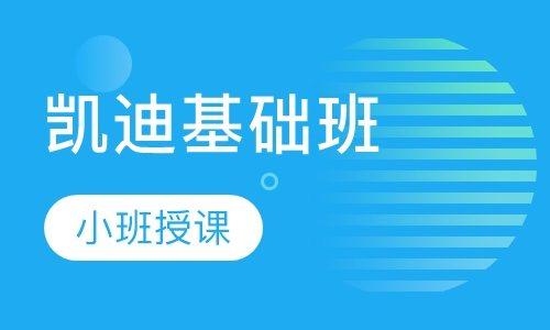 凯迪基础班