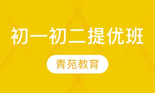 初一初二提优班
