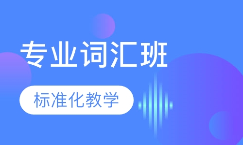 专业词汇班