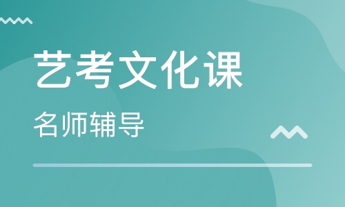 艺体贵阳高三文化课补习
