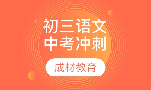 初三语文中考冲刺课程