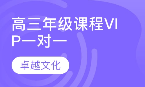 卓越文化高三年级课程VIP一对一