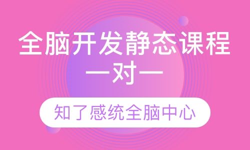 全脑开发静态课程一对一