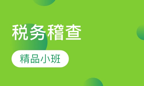 税务稽查与风险控制