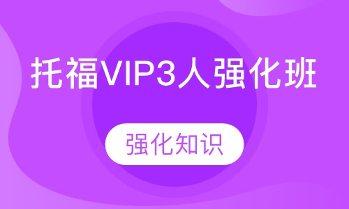 托福VIP3人强化班
