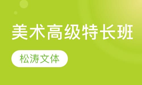 美术高级特长班