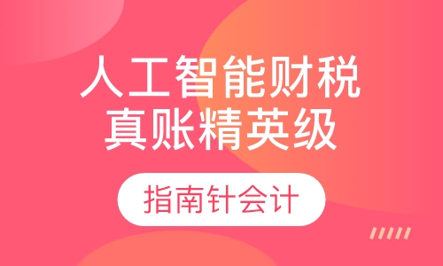 人工智能财税 真账精英级