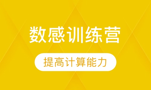 数感训练营