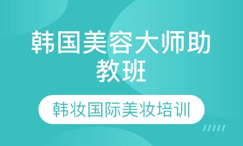 韩国大师助教班