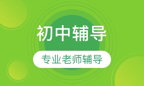 初一1对1语文课程