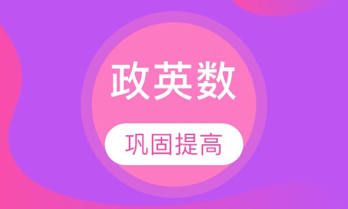 政英数 专业课 全年集训