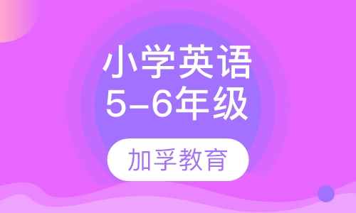 小学5-6年级英语辅导