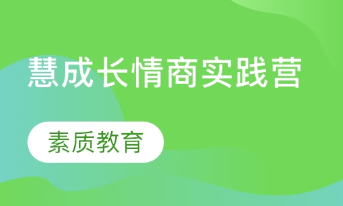 慧成长情商实践营