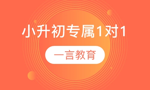 小升初辅导专属1对1