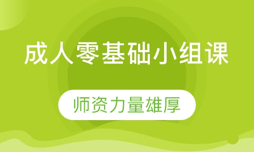 成人零基础小组课（教学主任授课）