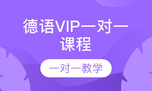 德语VIP一对一课程