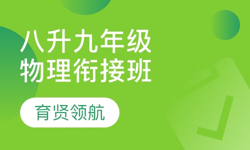 八升九年级物理衔接班