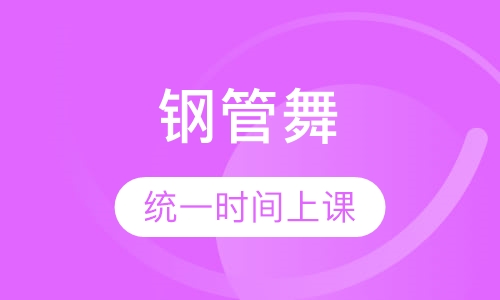 钢管舞职业班