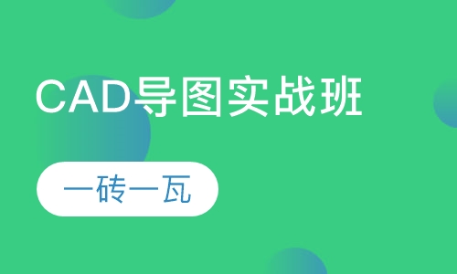 CAD导图实战班