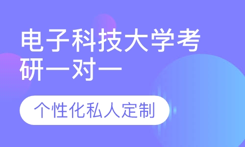 直播课电子科技大学考研一对一辅导班