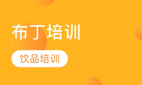 布丁培训