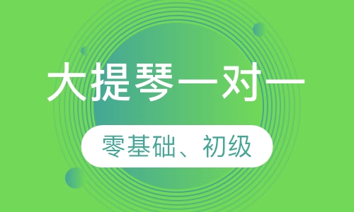 大提琴一对一
