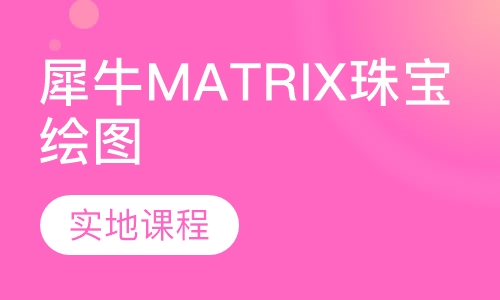 犀牛及MATRIX珠宝绘图课程