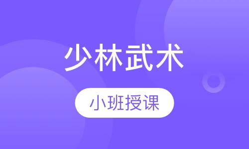 少林武术