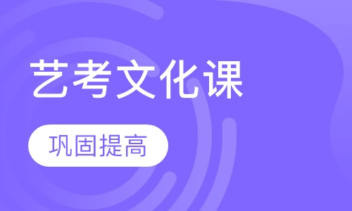 艺考文化课课程