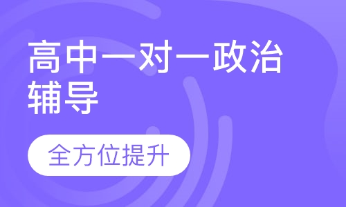 高中一对一政治辅导