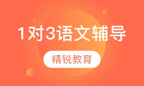 1对3语文辅导