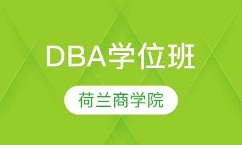 荷兰商学院DBA学位班