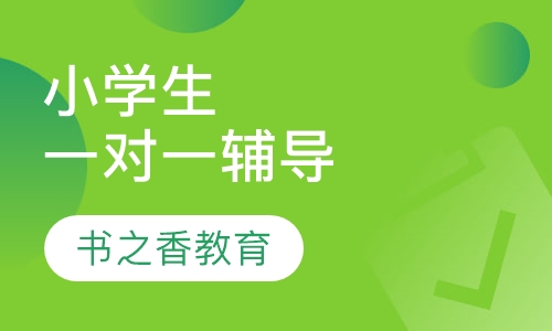 小学生一对一辅导