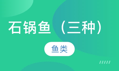 石锅鱼（三种）