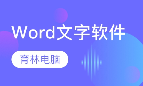 Word文字处理软件