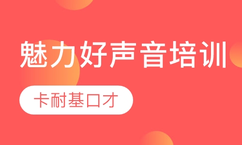 魅力好声音培训