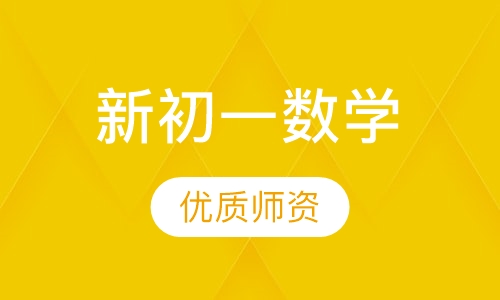 新初一数学