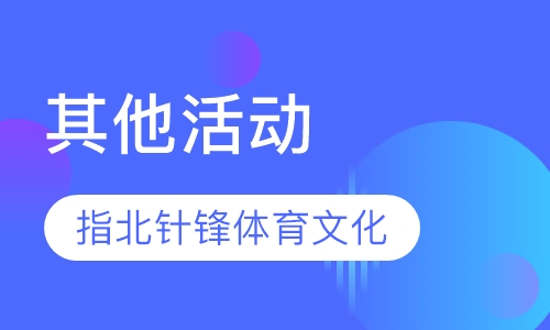 其他活动