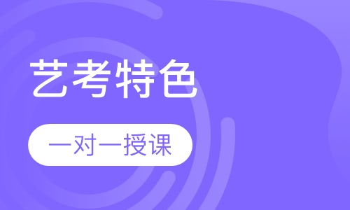 艺考特色一对一