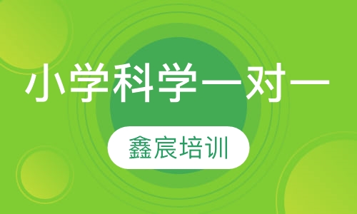 小学科学一对一