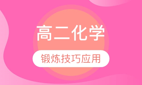 高二化学辅导
