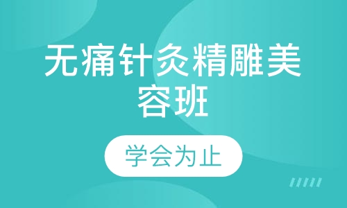 无痛针灸精雕班