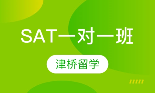 SAT 一对一班