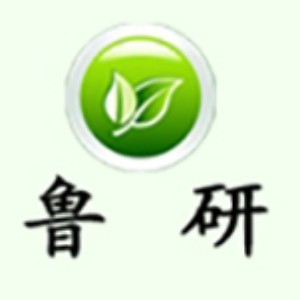 鲁研管理咨询公司