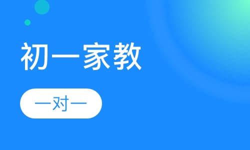 一对一家教辅导初一