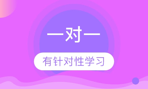 一对一辅导