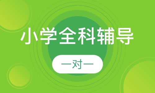 小学一对一全科辅导