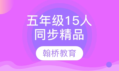 五年级15人同步精品班