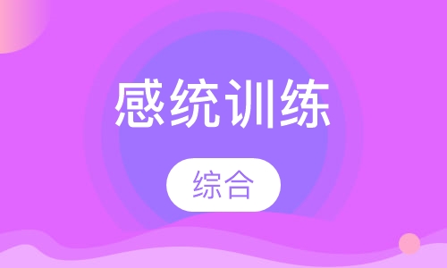 感统综合训练