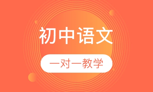 2020年初中语文vip辅导班
